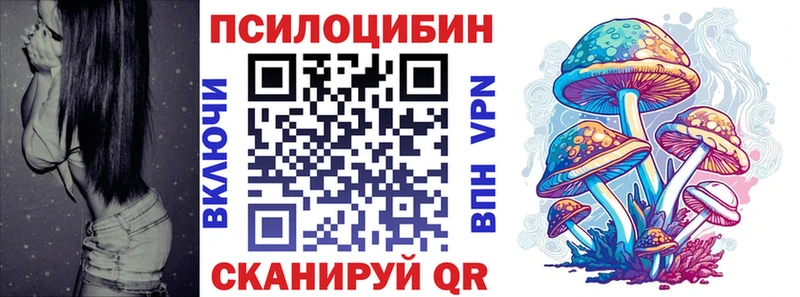 Псилоцибиновые грибы Magic Shrooms  МЕГА ССЫЛКА  Снежногорск  закладка 